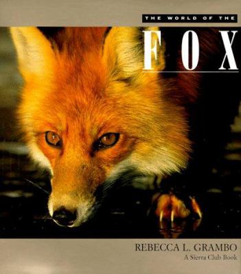 The world of the fox cover image