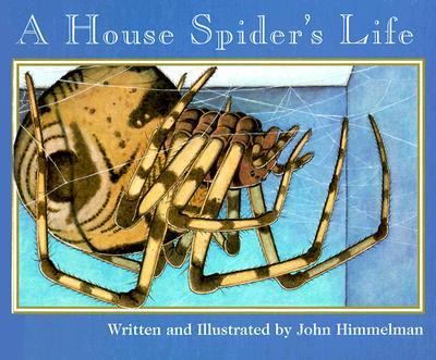 A house spider's life cover image
