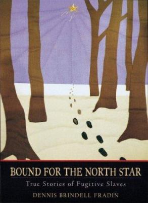 Bound for the North Star : true stories of fugitive slaves cover image