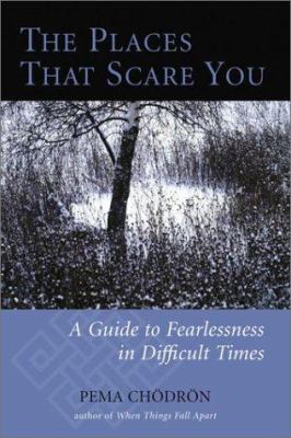 The places that scare you : a guide to fearlessness in difficult times cover image