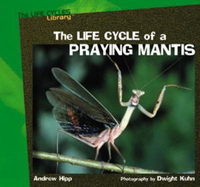 The life cycle of a praying mantis cover image