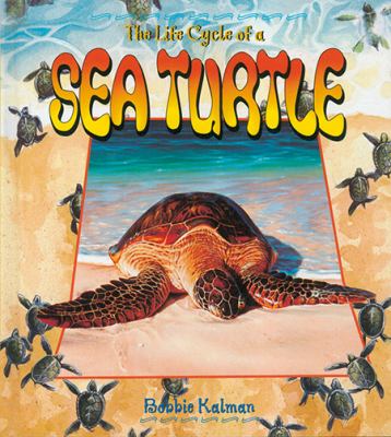 The life cycle of a sea turtle cover image