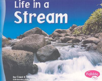 Life in a stream cover image