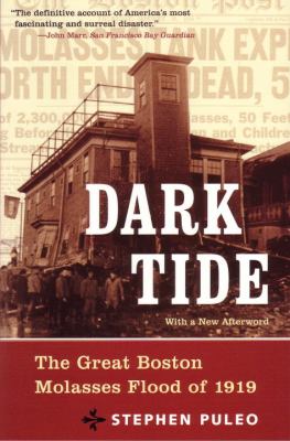 Dark tide : the great Boston molasses flood of 1919 cover image