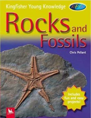 Rocks and fossils cover image