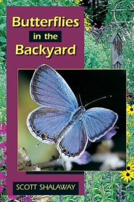 Butterflies in the backyard cover image