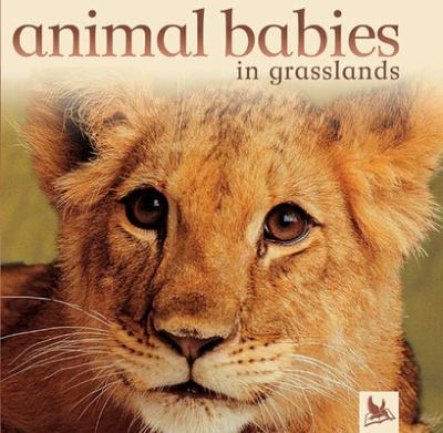 Animal babies in grasslands cover image