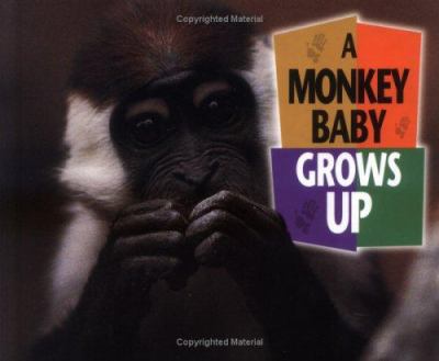 A monkey baby grows up cover image