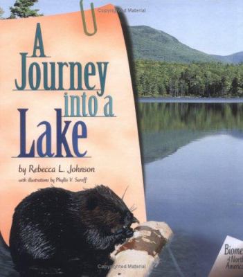 A journey into a lake cover image