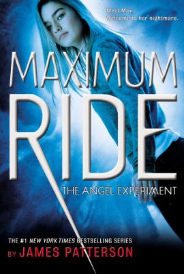 The angel experiment cover image
