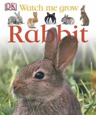 Rabbit cover image