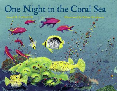 One night in the Coral Sea cover image