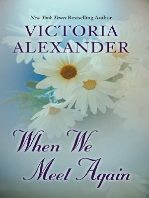 When we meet again cover image