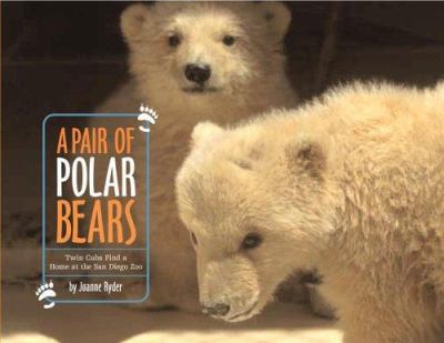 A pair of polar bears : twin cubs find a home at the San Diego Zoo cover image
