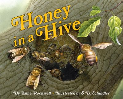 Honey in a hive cover image