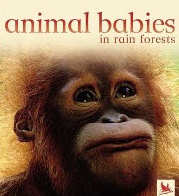 Animal babies in rain forests cover image