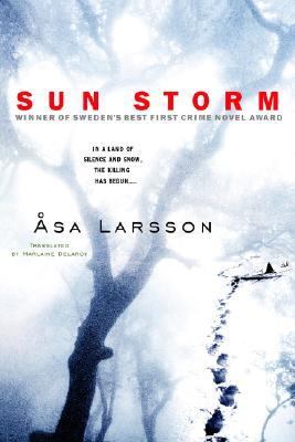Sun storm cover image