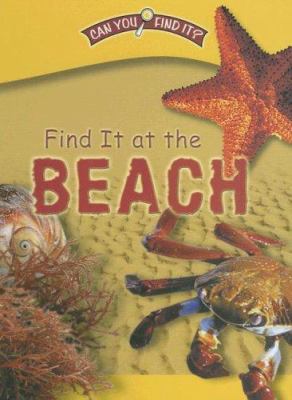 Find it at the beach cover image