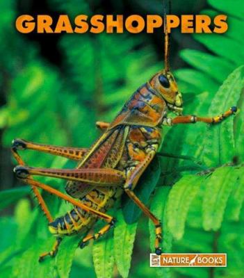 Grasshoppers cover image
