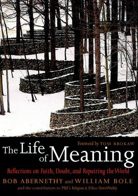 The life of meaning : reflections on faith, doubt, and repairing the world cover image