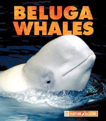 Beluga whales cover image