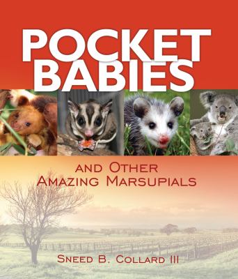 Pocket babies and other amazing marsupials cover image