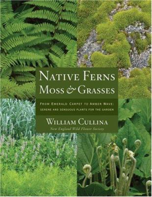 Native ferns, moss & grasses cover image