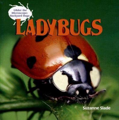 Ladybugs cover image