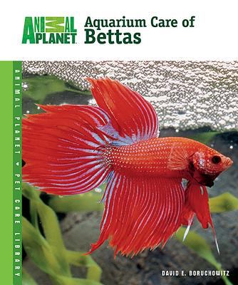 Aquarium care of bettas cover image