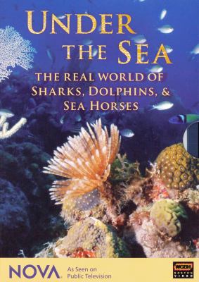 Under the sea the real world of sharks, dolphins and seahorses cover image