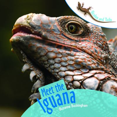 Meet the iguana cover image