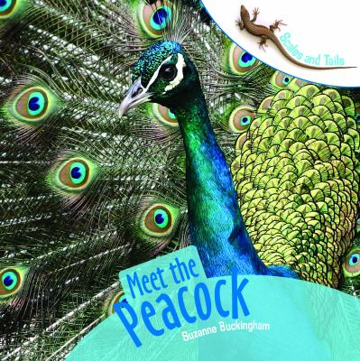 Meet the peacock cover image