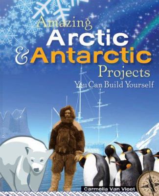 Amazing Arctic & Antarctic projects you can build yourself cover image
