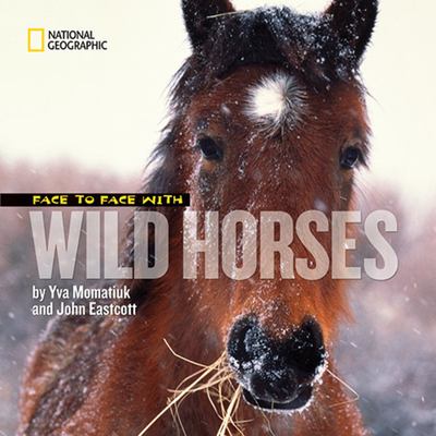 Face to face with wild horses cover image