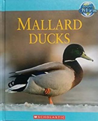 Mallard ducks cover image