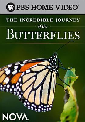 The incredible journey of the butterflies cover image
