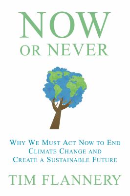Now or never : why we need to act now to achieve a sustainable future cover image