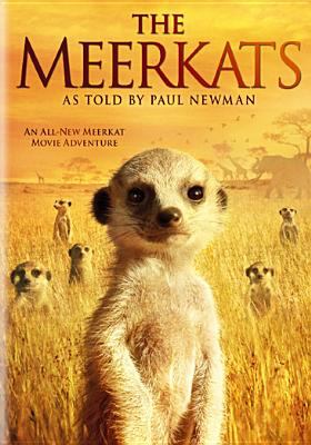 The meerkats cover image