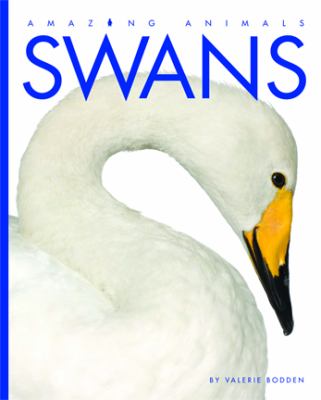 Swans cover image