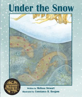 Under the snow cover image
