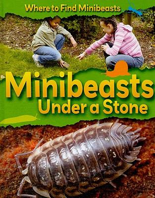 Minibeasts under a stone cover image