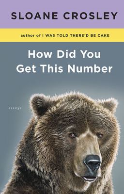 How did you get this number : essays cover image