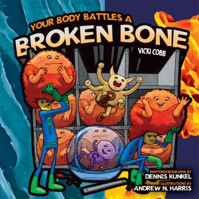Your body battles a broken bone cover image