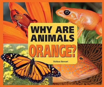 Why are animals orange? cover image