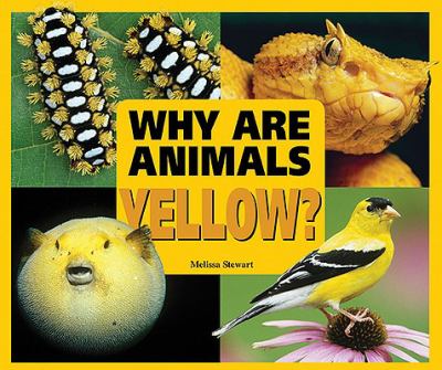 Why are animals yellow? cover image