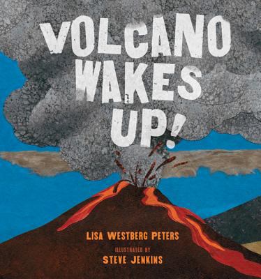 Volcano wakes up! cover image