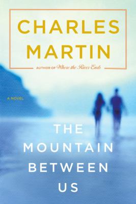 The mountain between us cover image