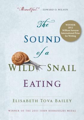 The sound of a wild snail eating cover image