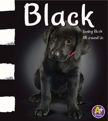 Black : seeing black all around us cover image