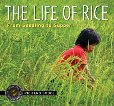 The life of rice : from seedling to supper cover image